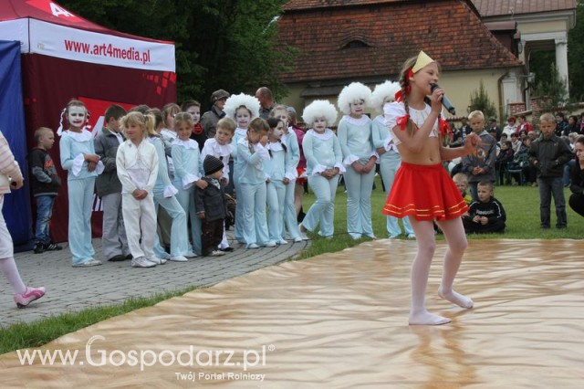 Występy artystyczne odbywające się podczas Dni Indyka