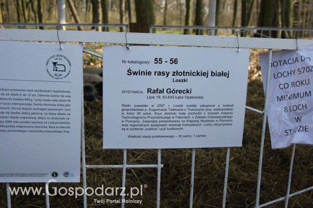 Foto reportaż z Targów Rolno-Ogrodnicze AGROMARSZ Marszew 2011