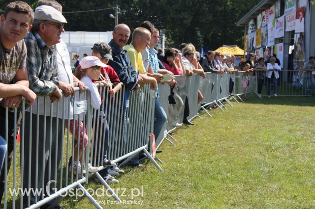 Konie - Szepietowo 2012 XIX Regionalna Wystawa Zwierząt Hodowlanych - 1