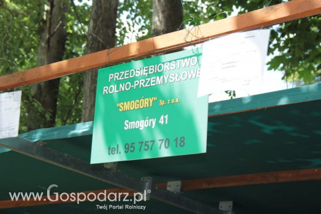 Wystawa Bydła Mlecznego