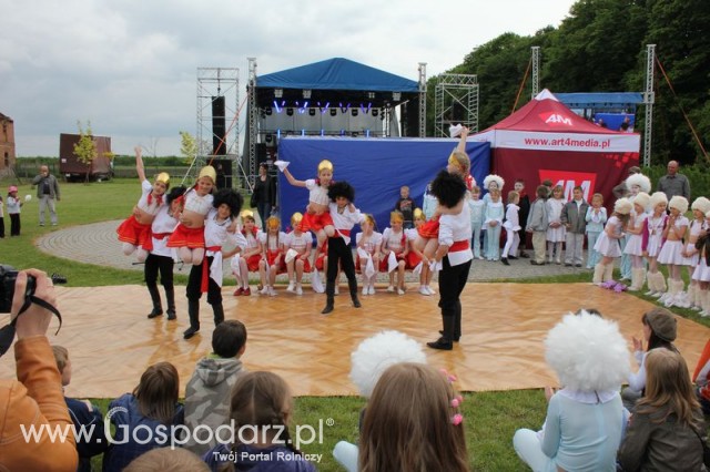 Występy artystyczne odbywające się podczas Dni Indyka