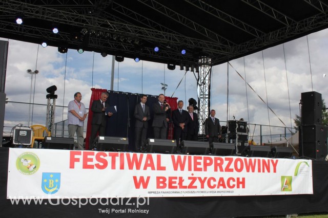 Festiwal Wieprzowiny w Bełżycach - 58