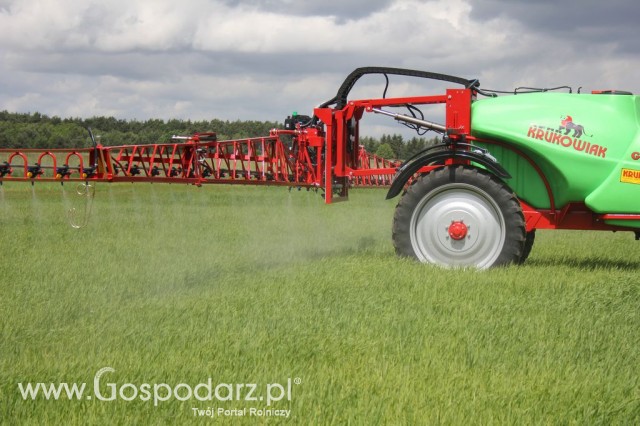 Zielone Agro Show Kąkolewo - Polskie Zboża  - 99