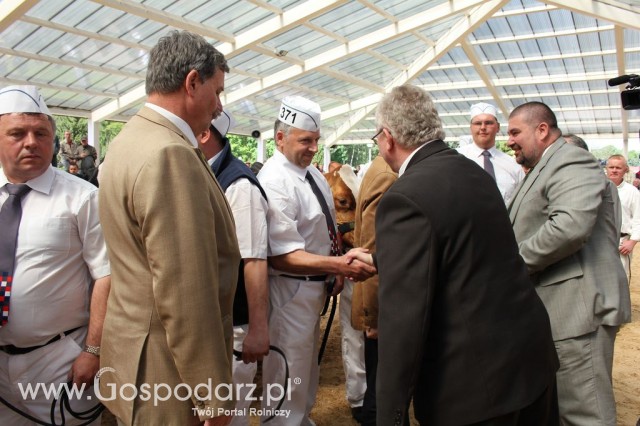 VII Ogólnopolska Wystawa Bydła Hodowlanego - 38