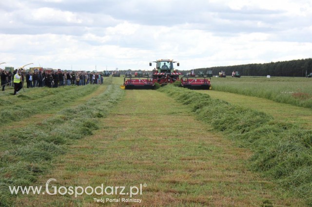 Pokazy Maszyn Polskie Zboża Zielone Agroshow 2012  - 54
