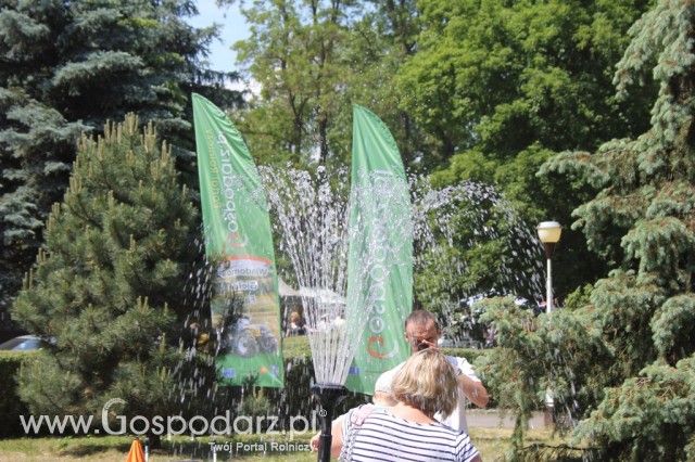 XXII Targi Rolniczo-Ogrodnicze Kościerzyn 2012 - 111