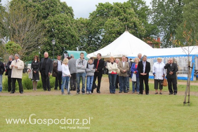 Otwarcie Pierwszych Dni Indyka w Koźminku