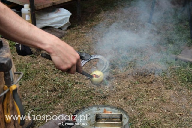 XX Targi Rolnicze Lubniewice