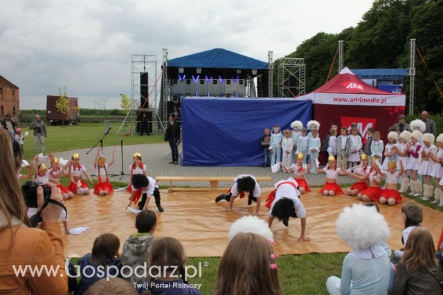 Występy artystyczne odbywające się podczas Dni Indyka