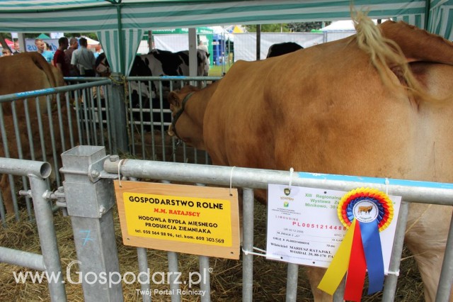 Relacja Foto Agro-Tech Minikowo 2012 - 63