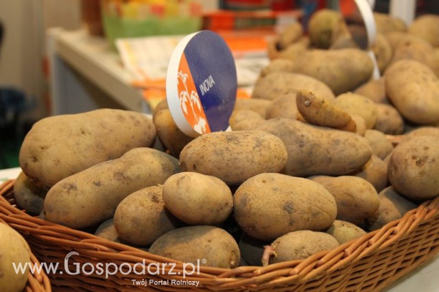 Fotoreportaż AGROTECH, LAS EXPO 2011