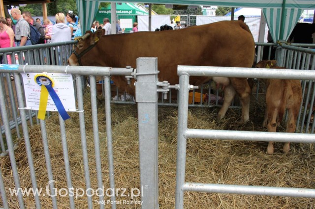 Relacja Foto Agro-Tech Minikowo 2012 - 62