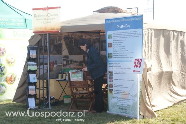 Zdj. - 95 - Regionalne Centrum Mikroorganizmów w Lesznie