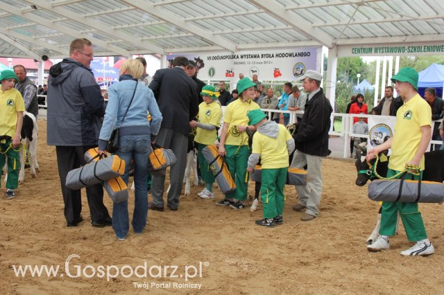 Mali hodowcy Sielinko 2012 - 42