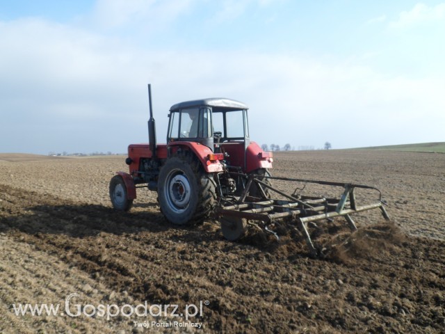 Wiosenne Przesiewki 2012 Z C-360 