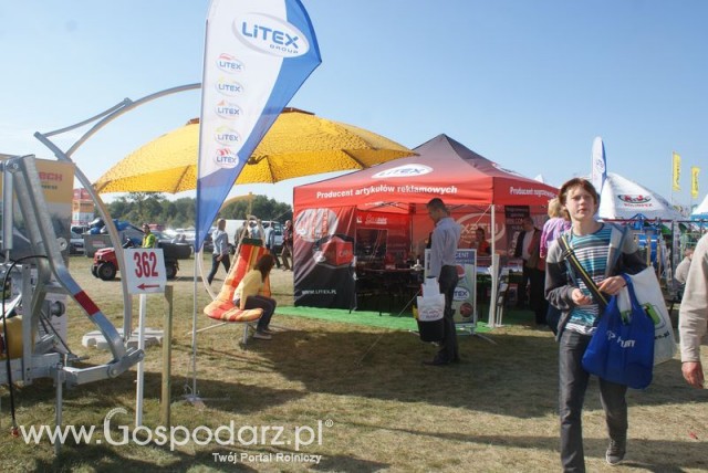 Zdj. - 415 - LITEX ZPH STANISŁAW LITWIN