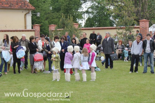Występy artystyczne odbywające się podczas Dni Indyka