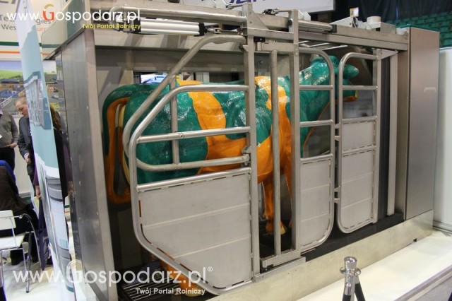 Foto reportaż  z XI Międzynarodowych Targów Fermy Bydła