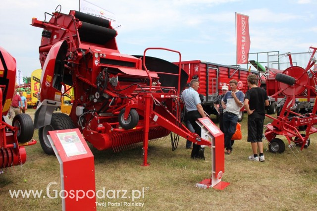 OMEGA Motławscy - Opolagra 2012 - 2