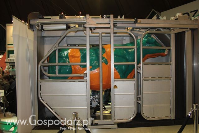 Fotoreportaż  z XI Międzynarodowych Targów Fermy Bydła