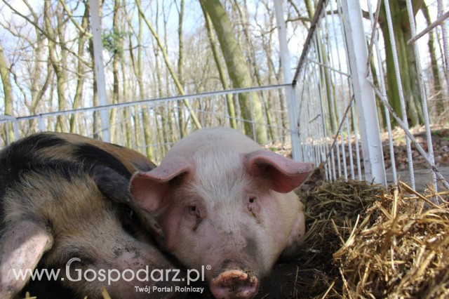 Agromarsz 2012 - 113