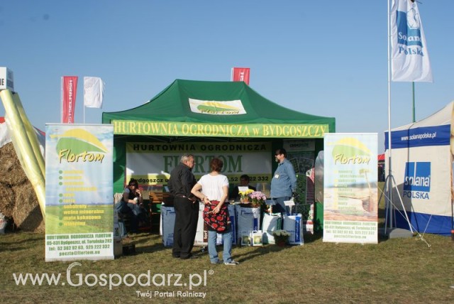 Zdj. - 233 - FLORTOM HURTOWNIA OGRODNICZA SP.J.