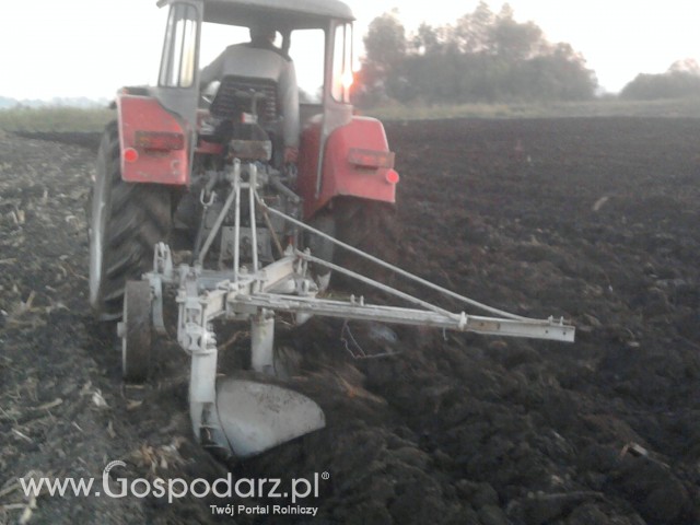 orka C-360  polska moc 