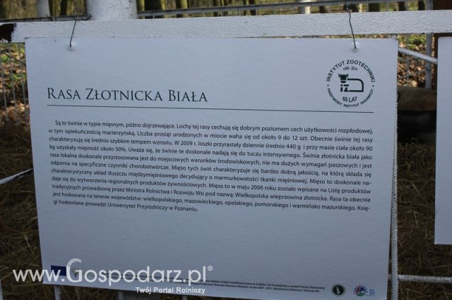 Foto reportaż z Targów Rolno-Ogrodnicze AGROMARSZ Marszew 2011