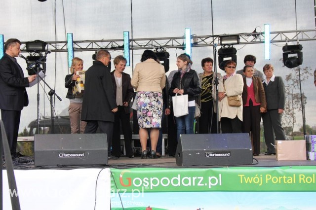 Występy artystyczne odbywające się podczas Dni Indyka