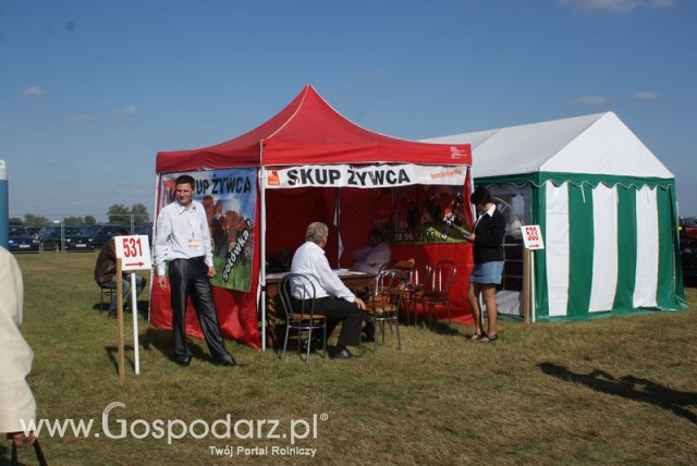 Zdj. - 66 - BM KOBYLIN Sp. z o.o.