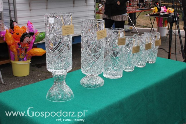 Fotoreportaż z XX Agro-Targów 2011 w Starej Łubiance