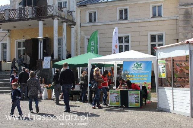 Fotoreportaż z XX Agro-Targów 2011 w Starej Łubiance