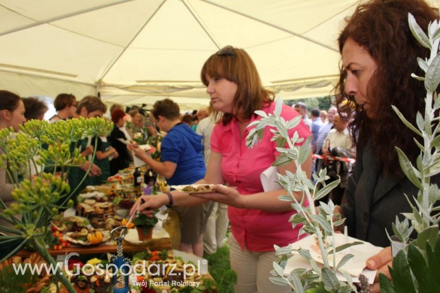 IX Święto Gęsi w Biskupcu - 99