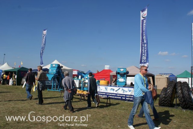 Zdj. - 27 - DOMASZ TOMASZ WALIGÓRA