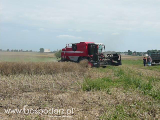 Massey Ferguson Activa 7244  