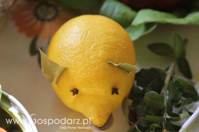 XV Spotkania Tradycji Wielkanocnych Ziemi Kłodzkiej - 84