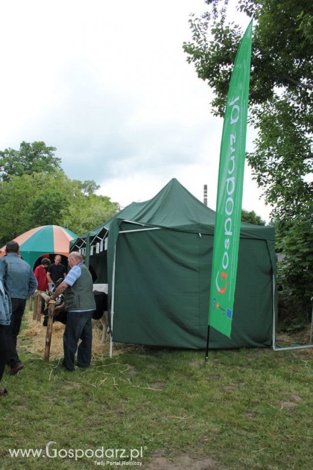 XX Targi Rolnicze Lubniewice