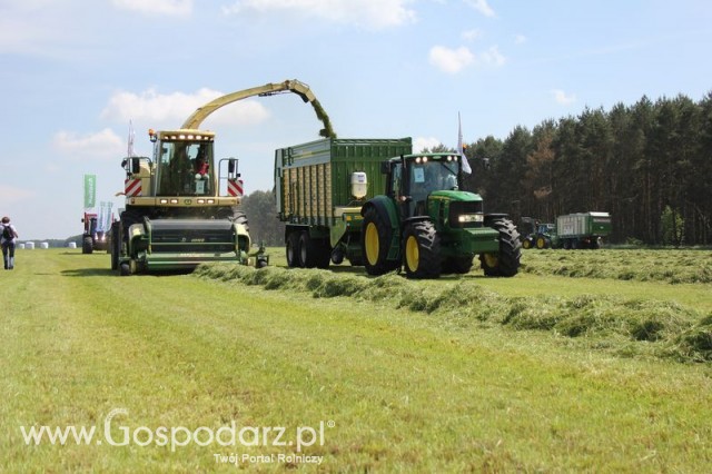 Sieczkarnia polowa krone Big X 650 + Przyczepa MX 310 GD + Ciągnik John Deere 6930