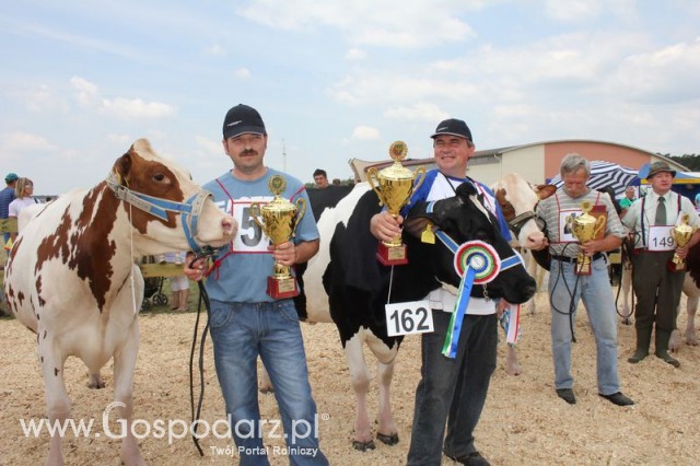 Nagordy dla superchampionów i championów  - 26