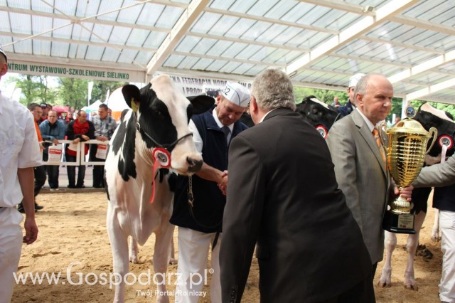 VII Ogólnopolska Wystawa Bydła Hodowlanego - 46
