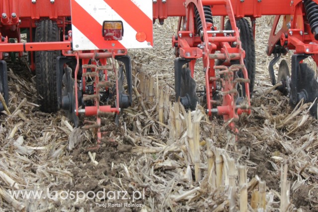 Kultywator STRIGER do uprawy pasowej - 26