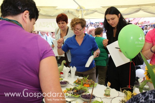 IX Święto Gęsi w Biskupcu - 83