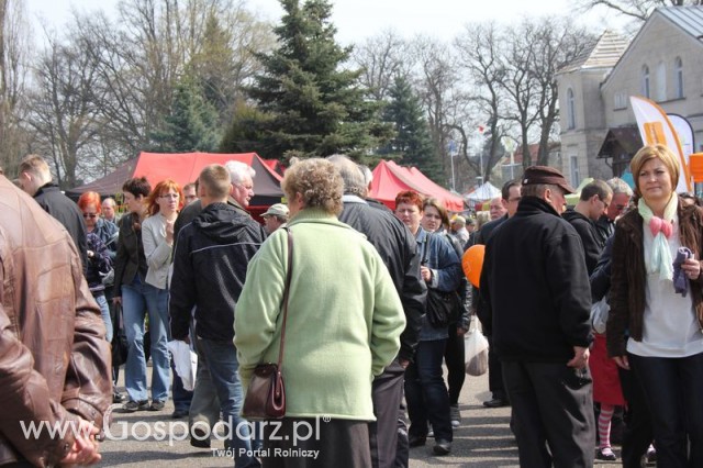 Fotoreportaż z XX Agro-Targów 2011 w Starej Łubiance