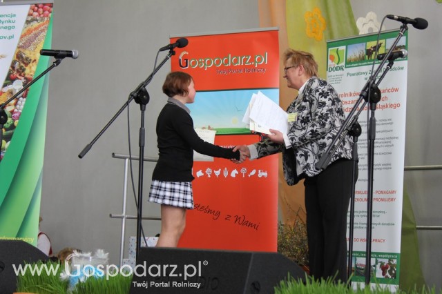 XV Spotkania Tradycji Wielkanocnych Ziemi Kłodzkiej - 6