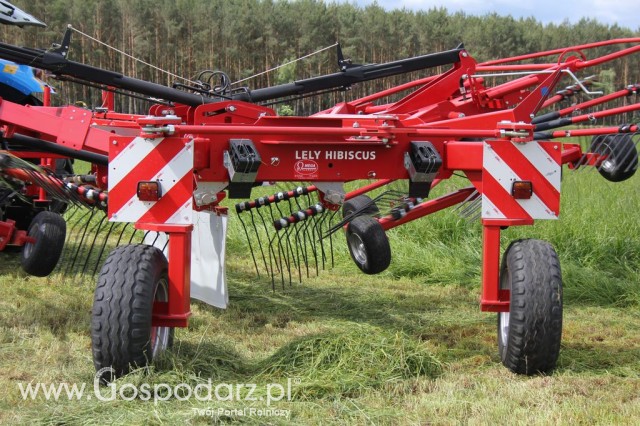 Pokazy Maszyn Polskie Zboża Zielone Agroshow 2012  - 8