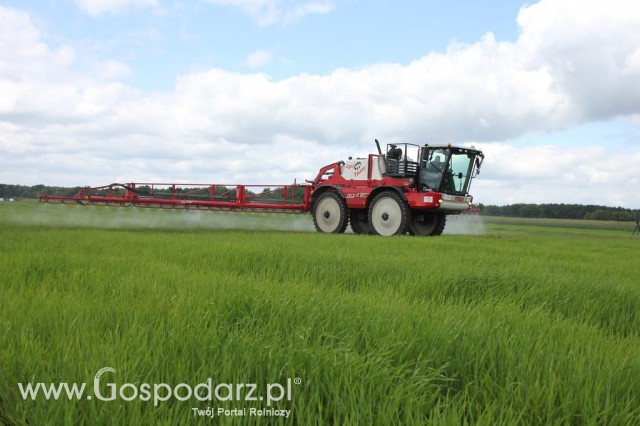 Zielone Agro Show Kąkolewo - Polskie Zboża  - 127