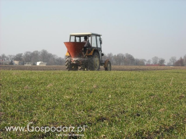 Ciapek w akcji nawóz