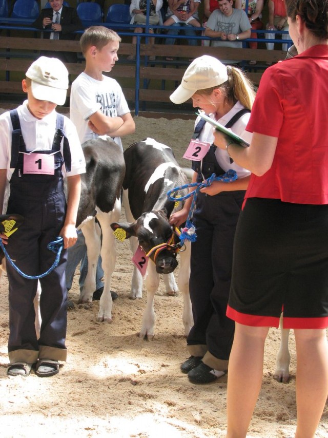 Młody Hodowca - Szepietowo 2012 - 49