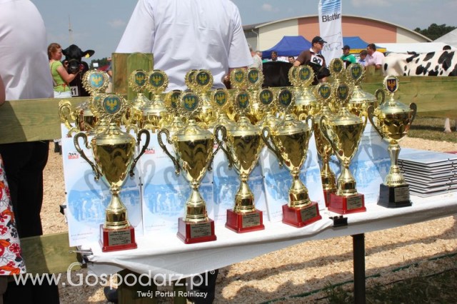 Nagordy dla superchampionów i championów  - 83