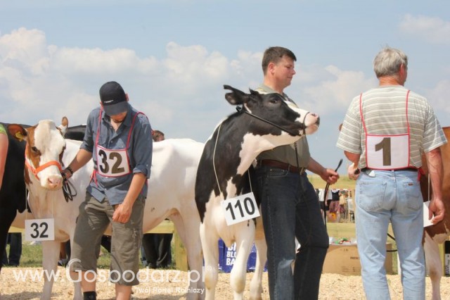 Nagordy dla superchampionów i championów  - 76